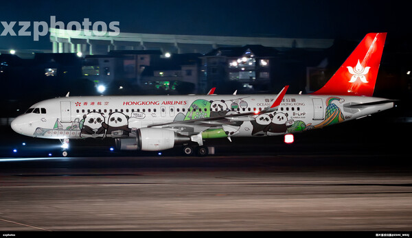 B-LPP