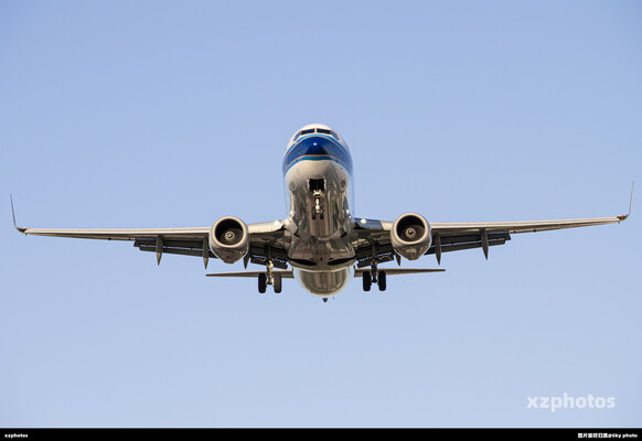 B-5446