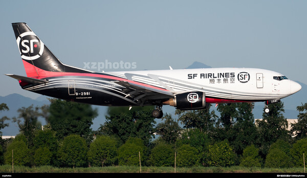 B-2981