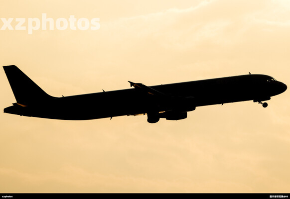 B-8289