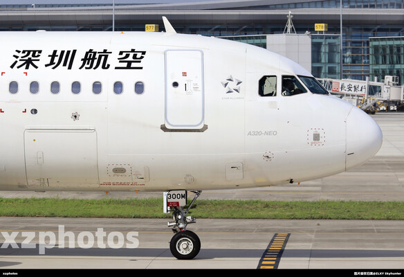 ZH大头