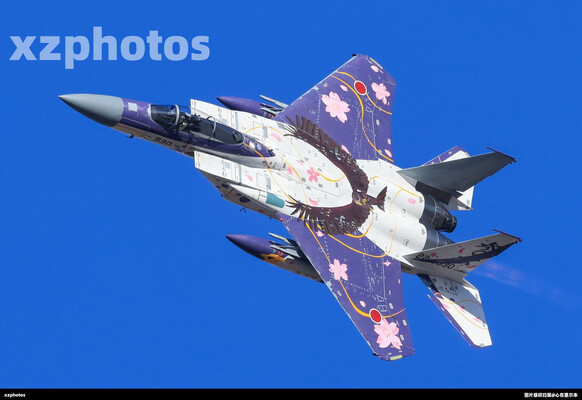 日本航空自卫队70周年纪念特别涂装