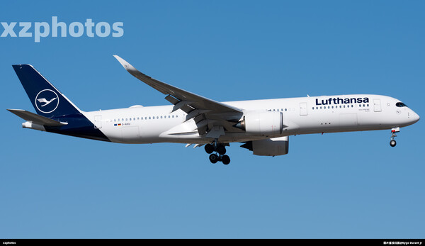 D-AIXU