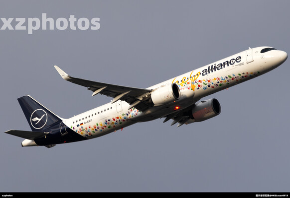 D-AIEP