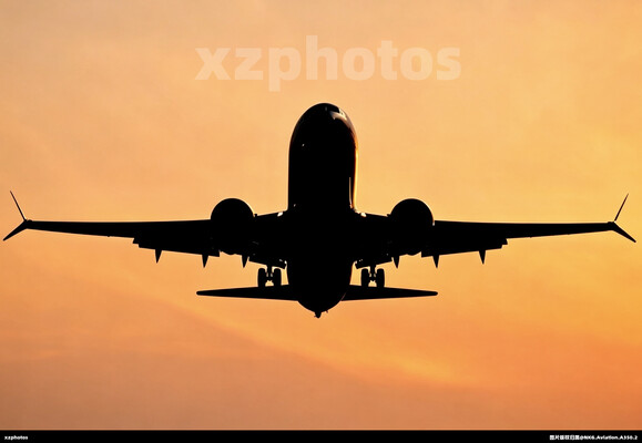 B-20DX