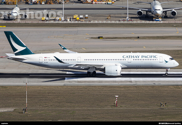 B-LQA