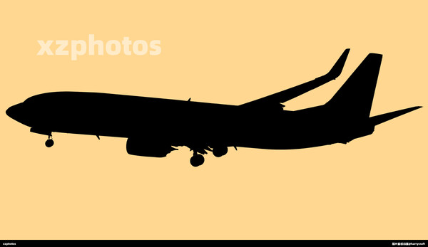 B-5619