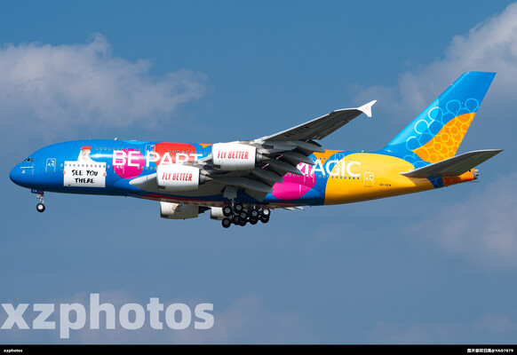 阿联酋A380-800彩绘机🇦🇪