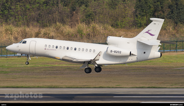 B-8202