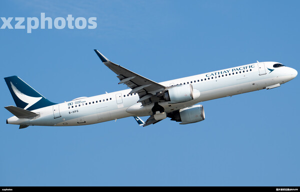 B-HPG