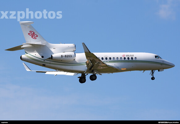 B-8203