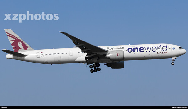 Qatar | One World Livery