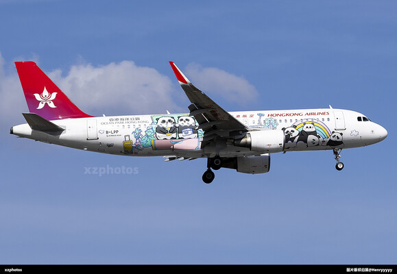 B-LPP