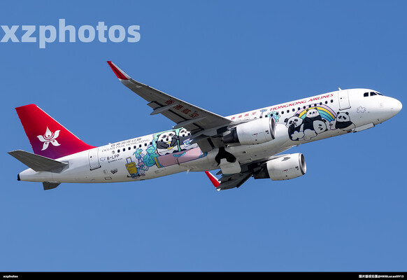 B-LPP