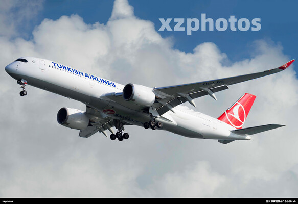TC-LGS
