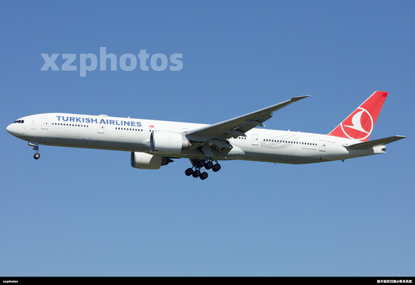TC-JJK