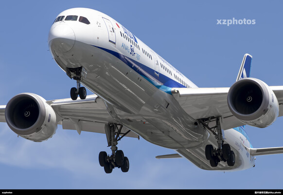 ANA’s 50th 787