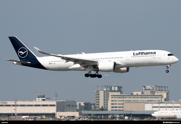 D-AIXD