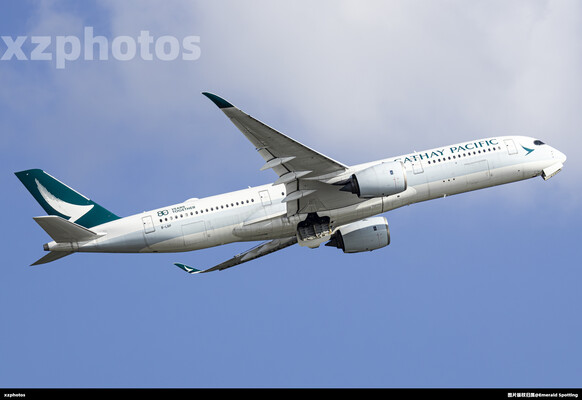 B-LRP
