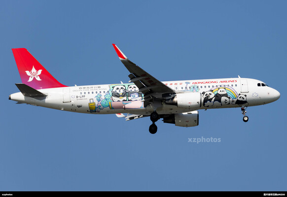 B-LPP