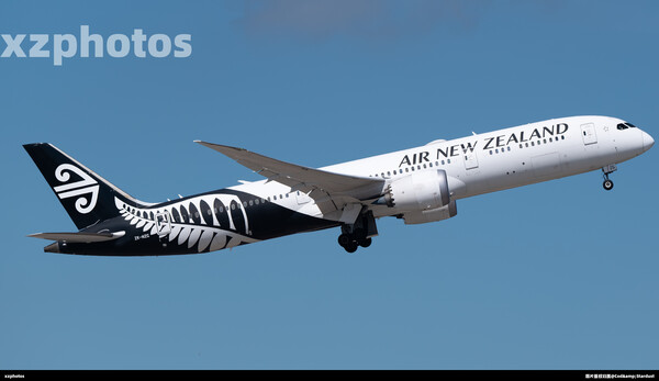 ZK-NZG