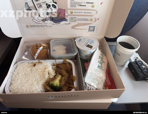ca1293北京首都-乌鲁木齐天山经济舱餐食
