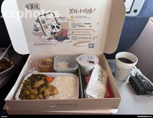 ca1293北京首都-乌鲁木齐天山经济舱餐食