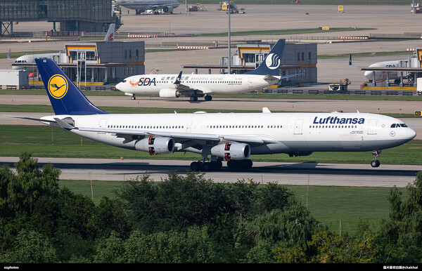 D-AIGS