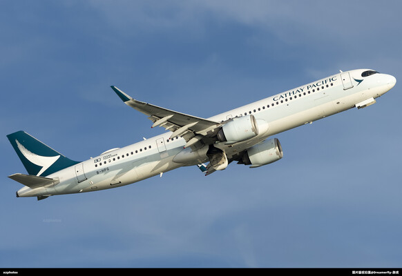 B-HPG