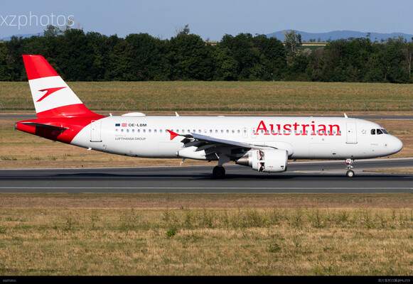 OE-LBM