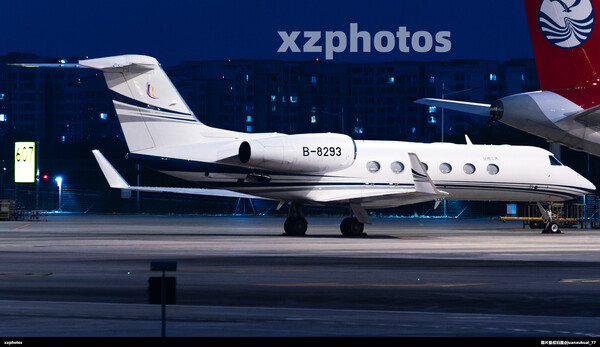B-8293