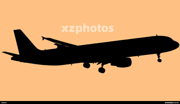 B-2419