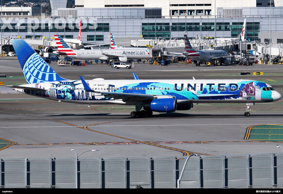 N14102