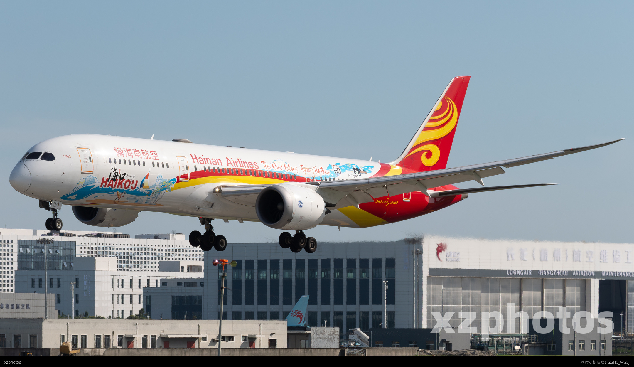 B-7667