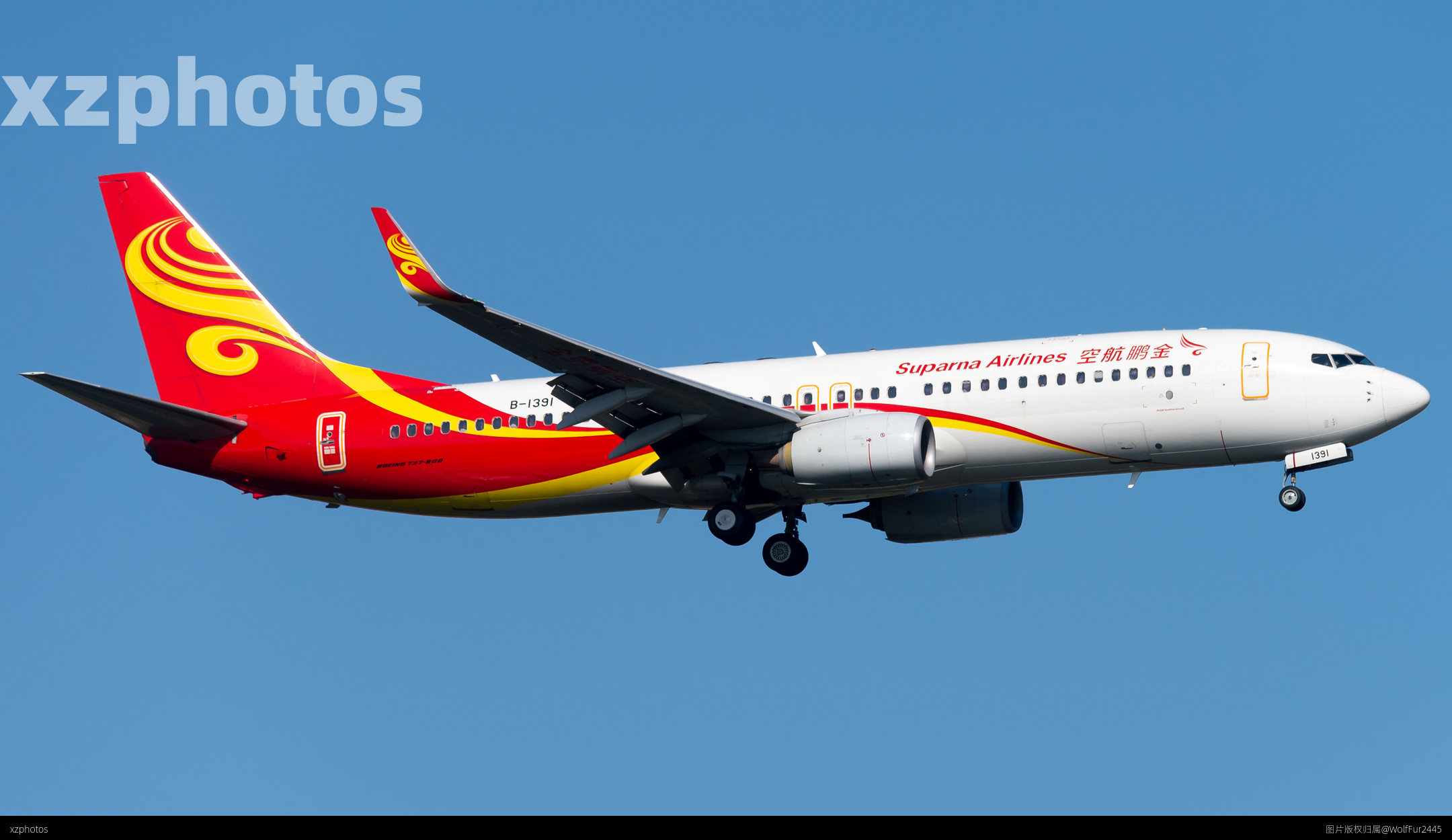 金鹏737