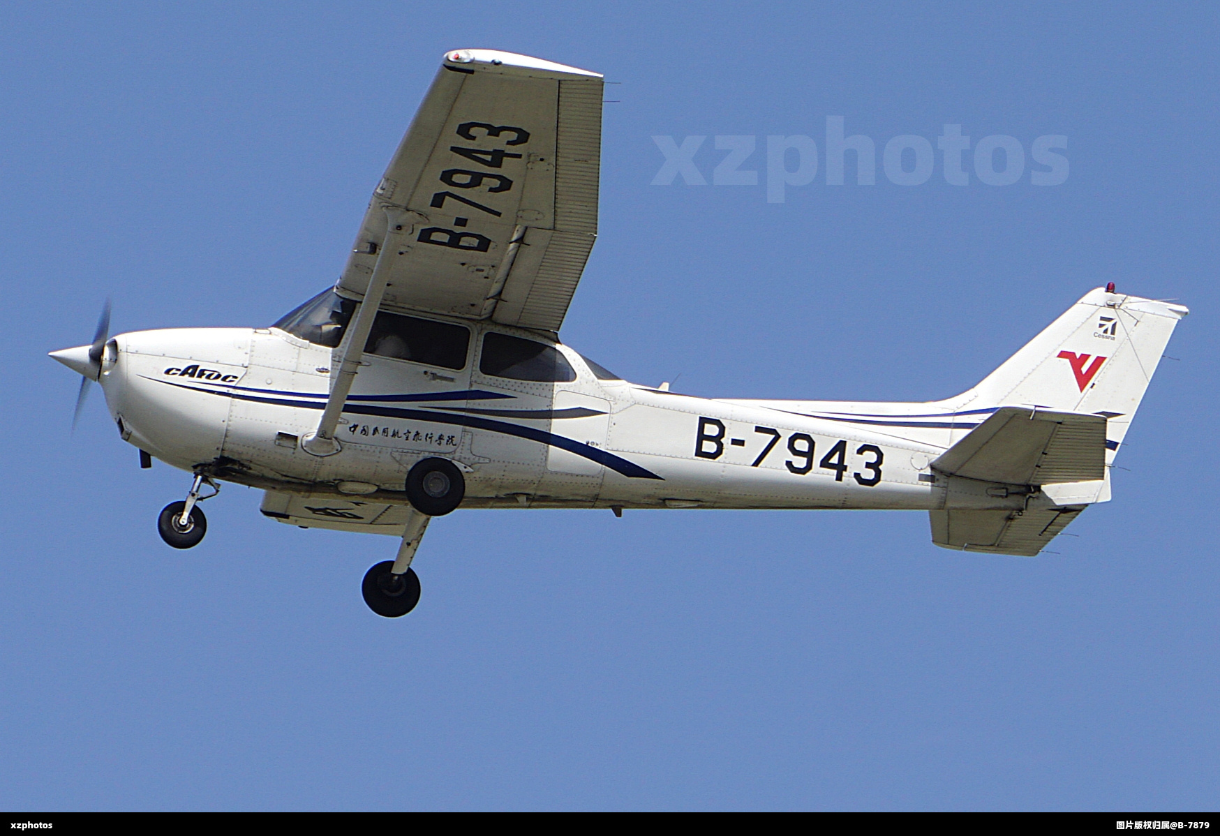 B-7943