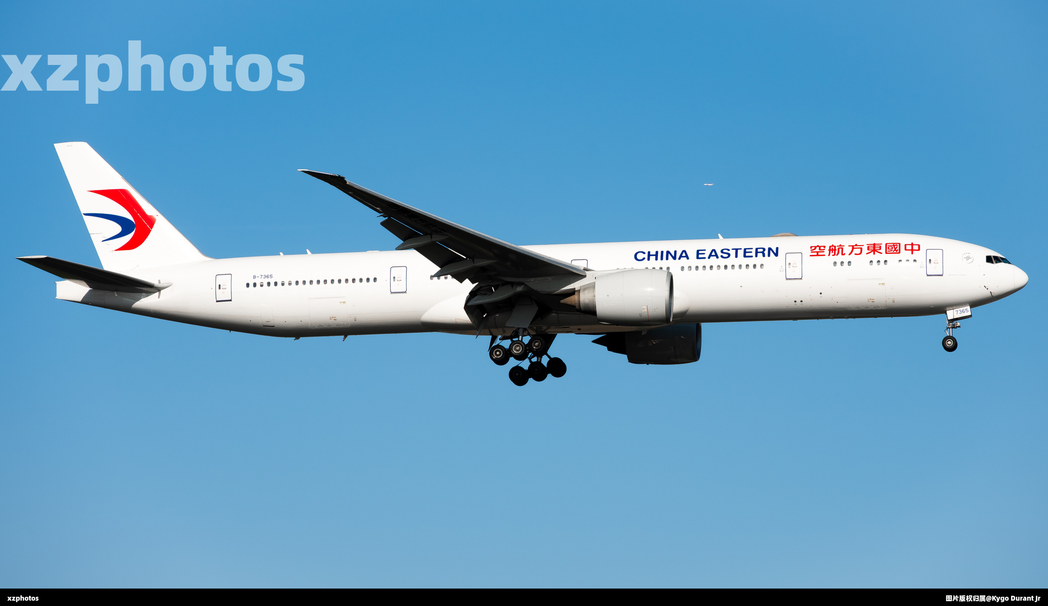 B-7365