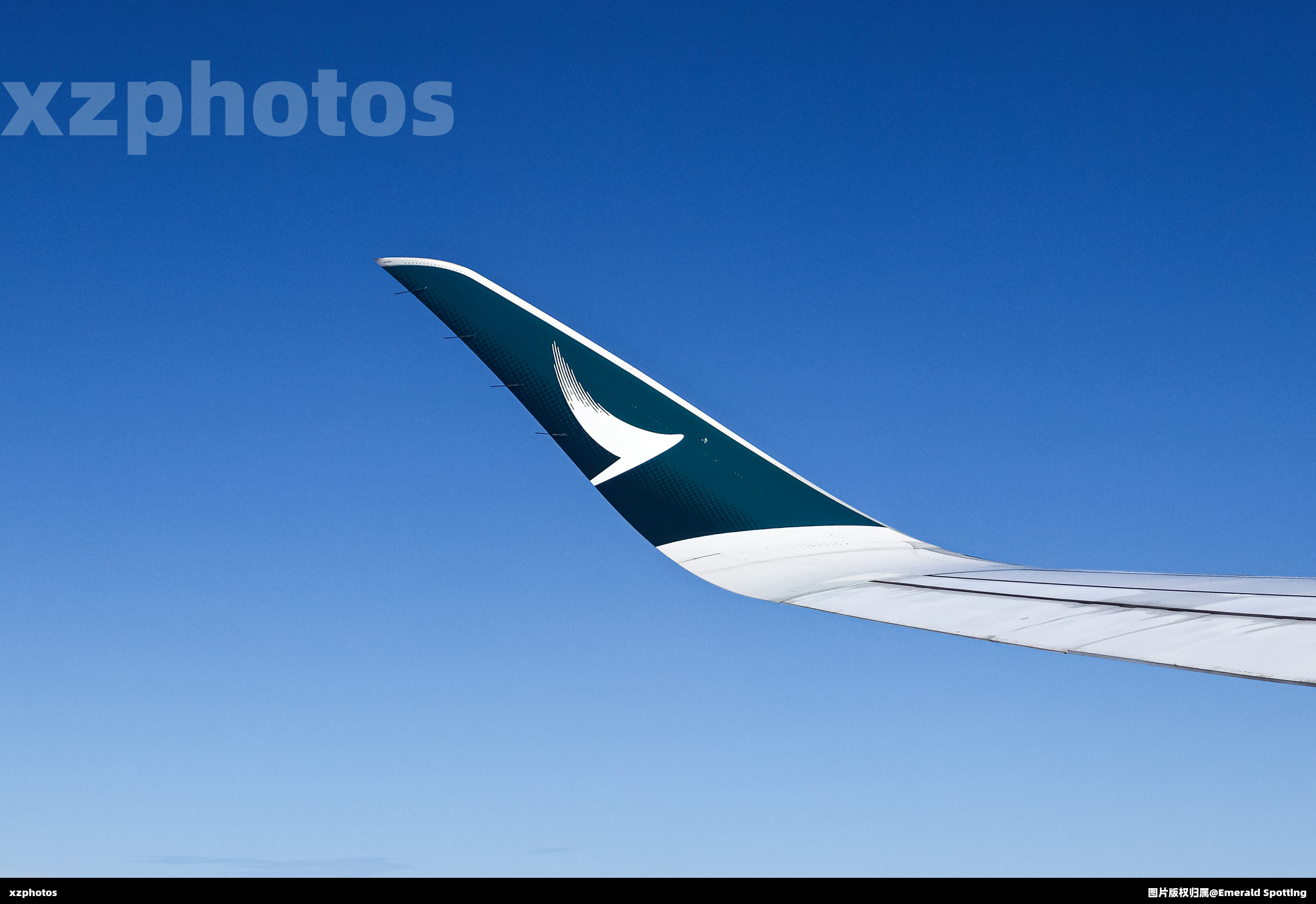 B-LQE winglet