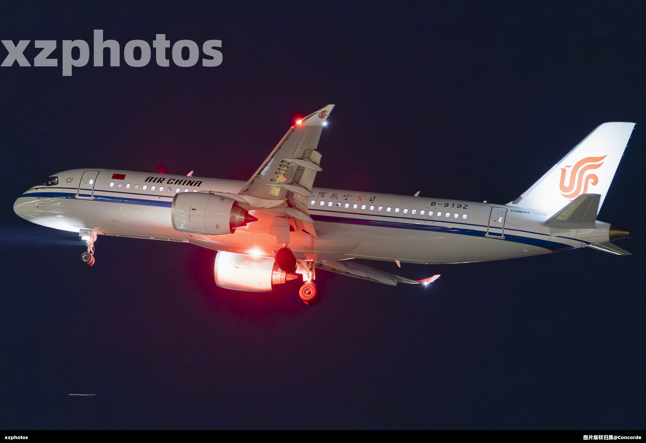 B-919Z