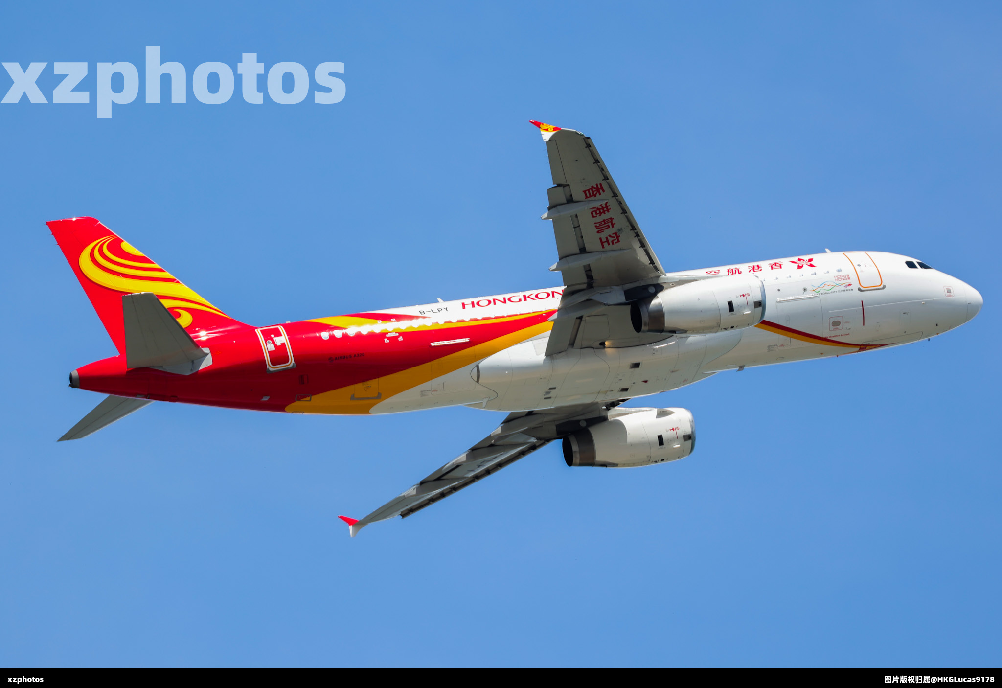 B-LPY