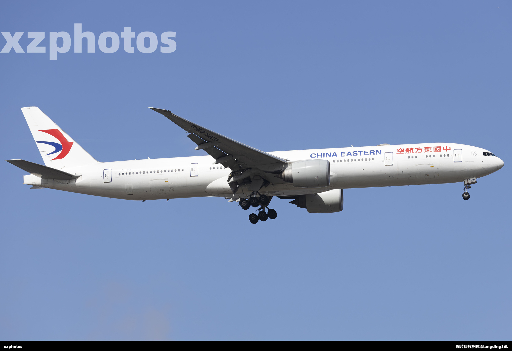 B-7881