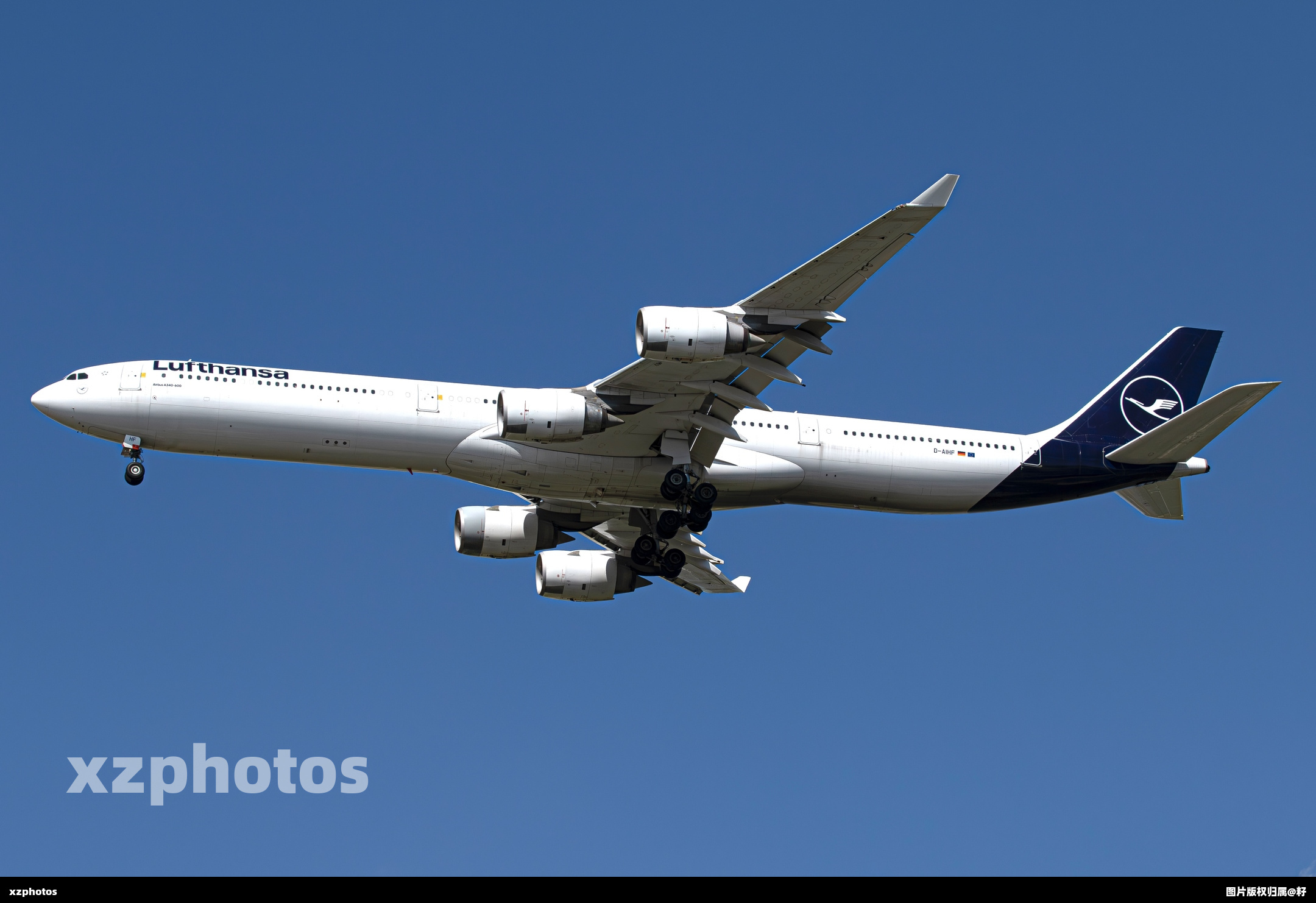 D-AIHF