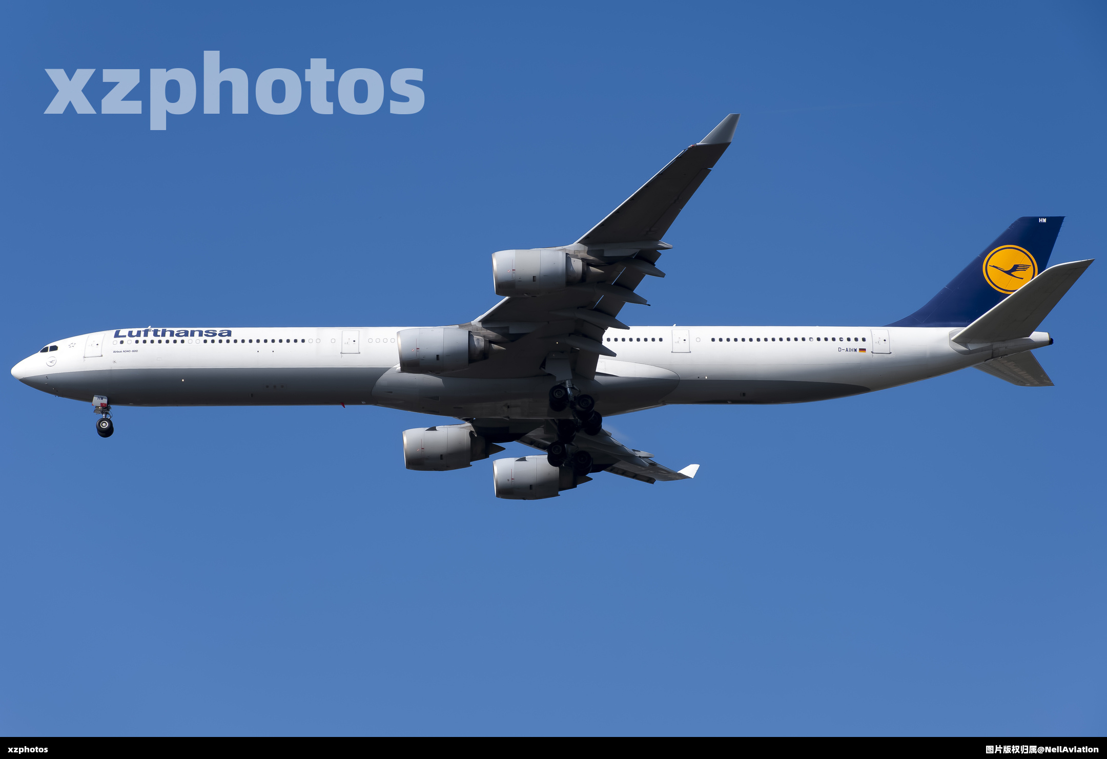 D-AIHW