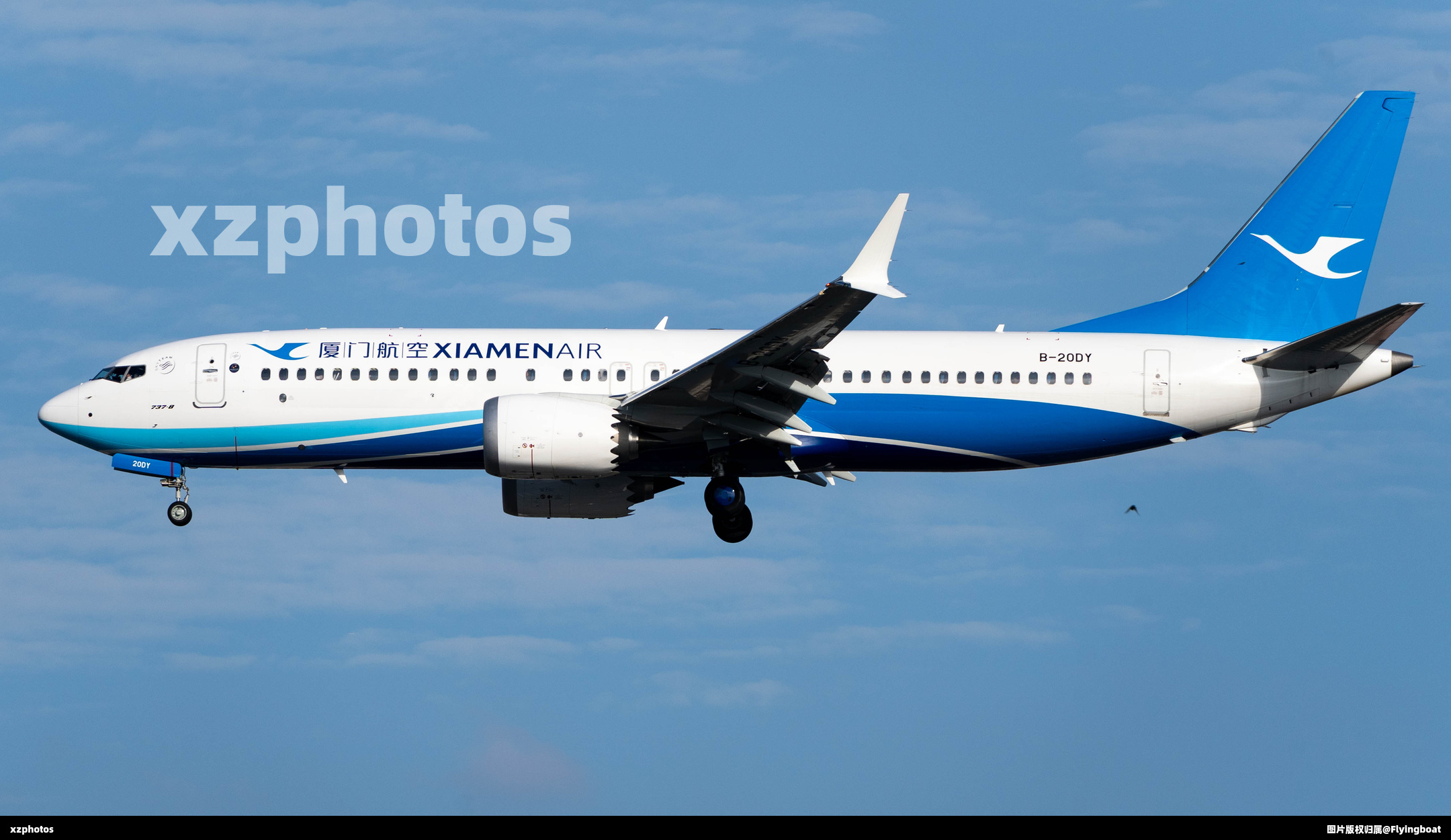 B-20DY