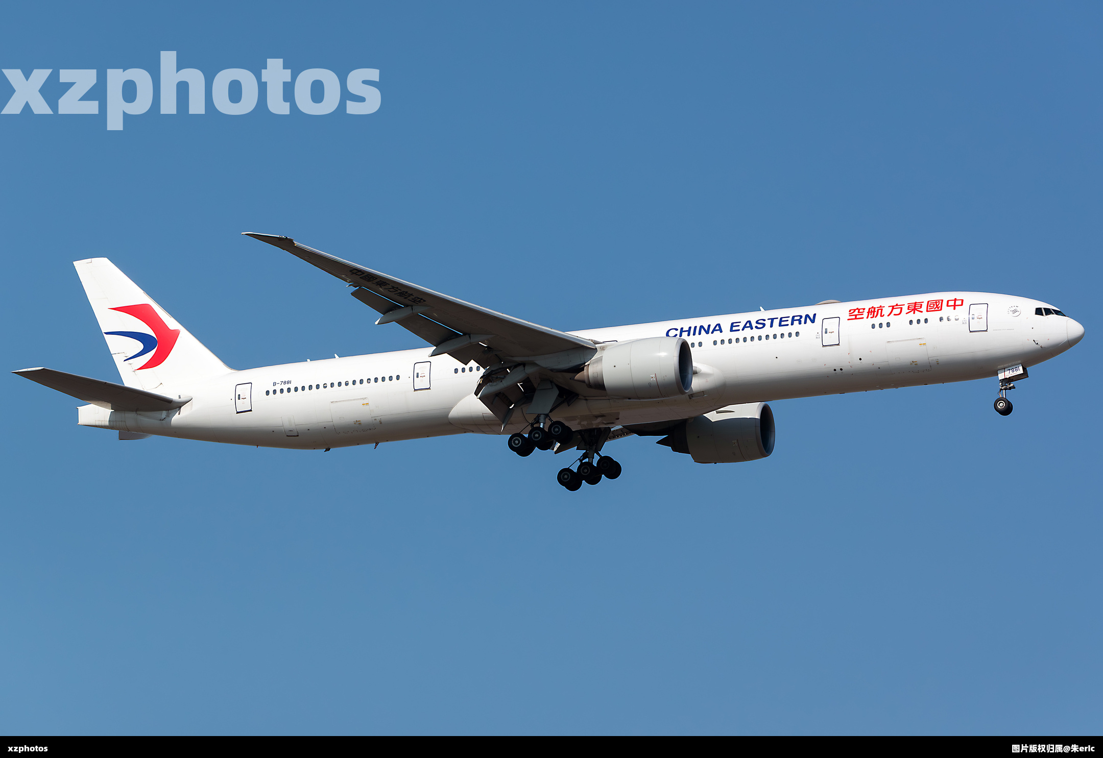 B-7881