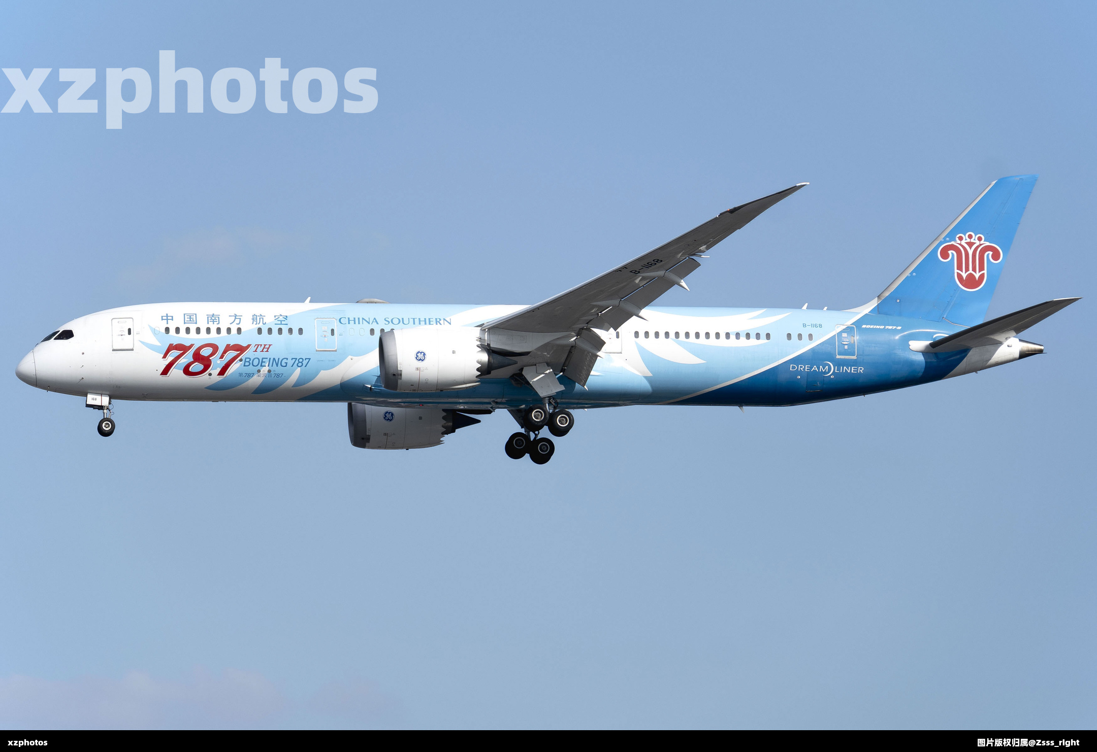 红标787