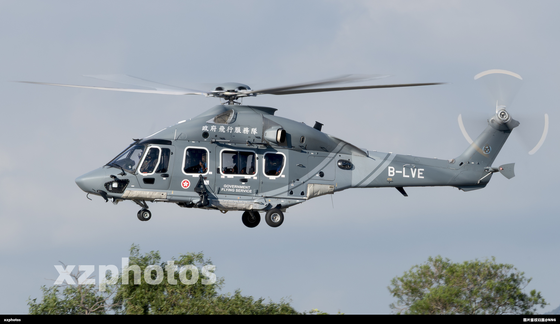 B-LVE