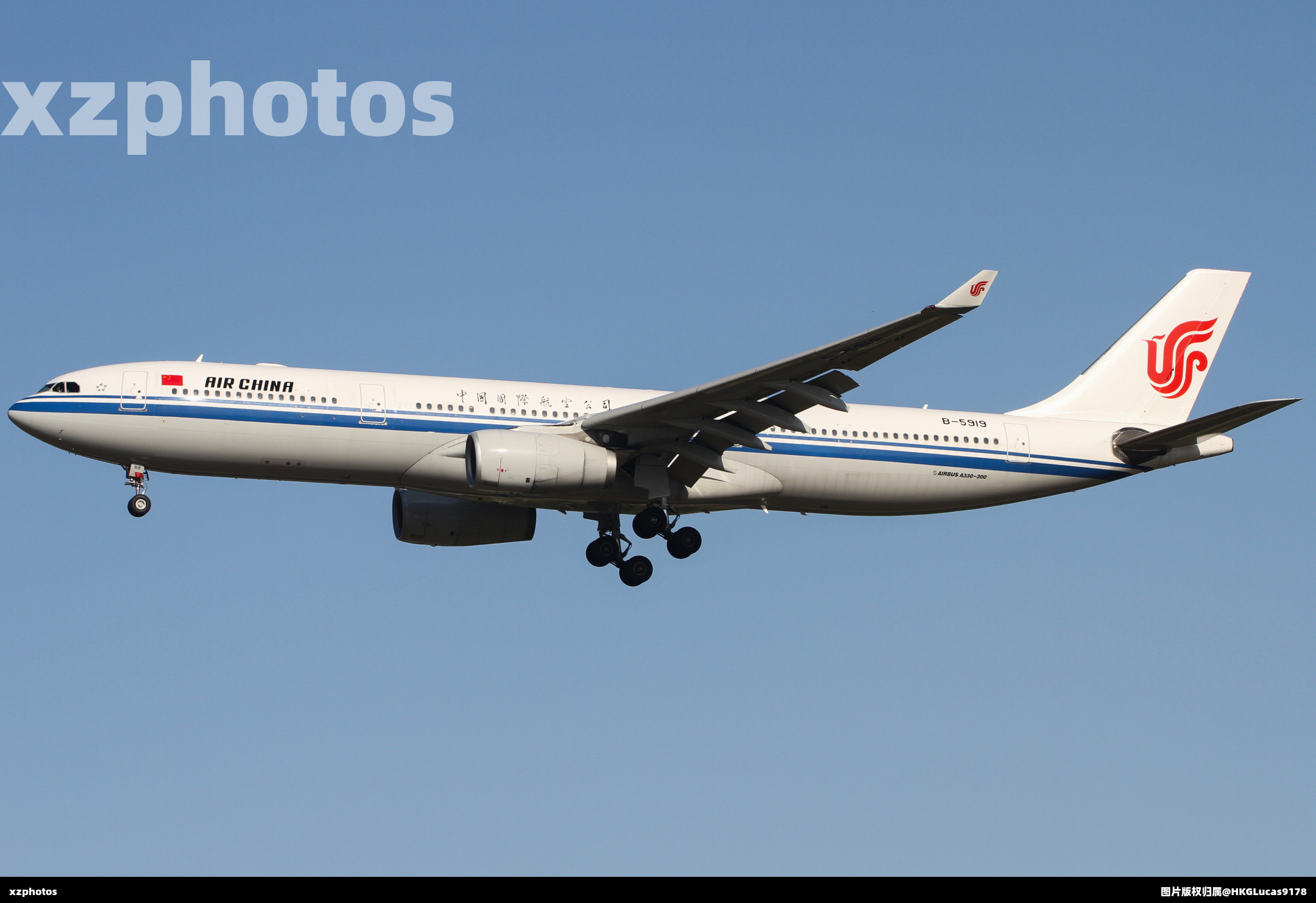 B-5919