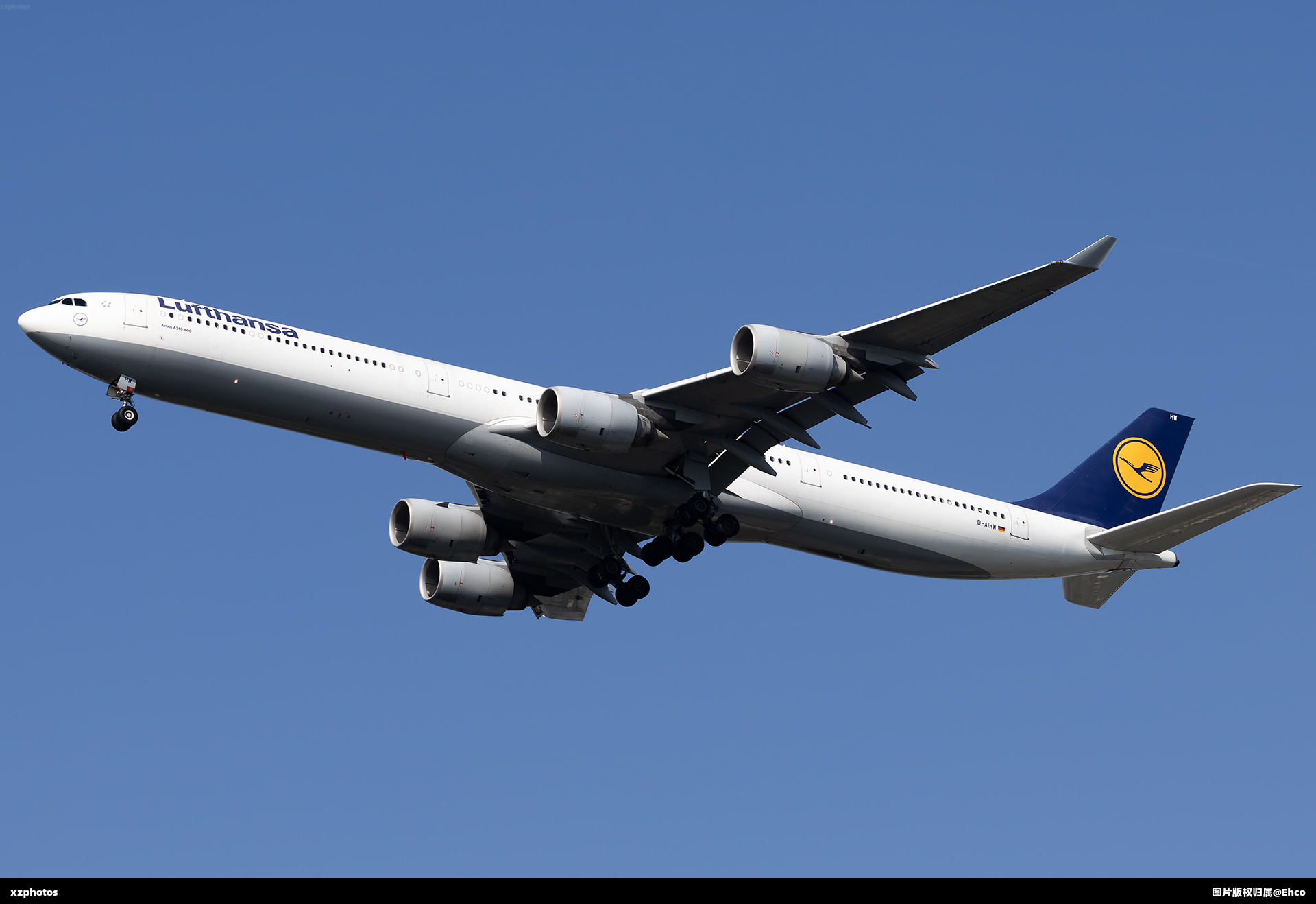 D-AIHW
