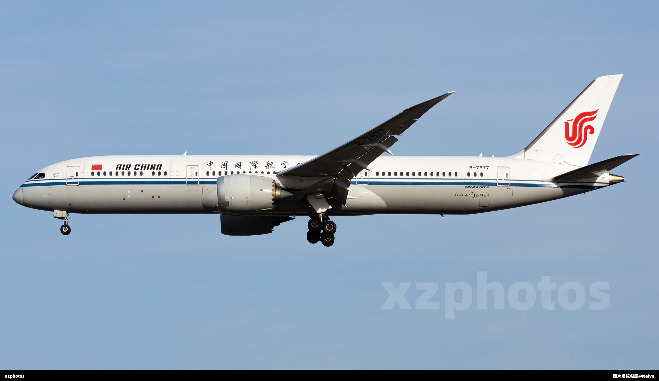 B-7877